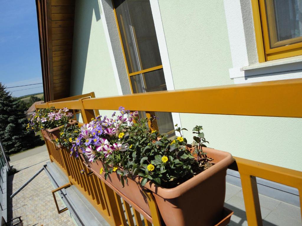 Gaestezimmer Rieder Staatz Værelse billede