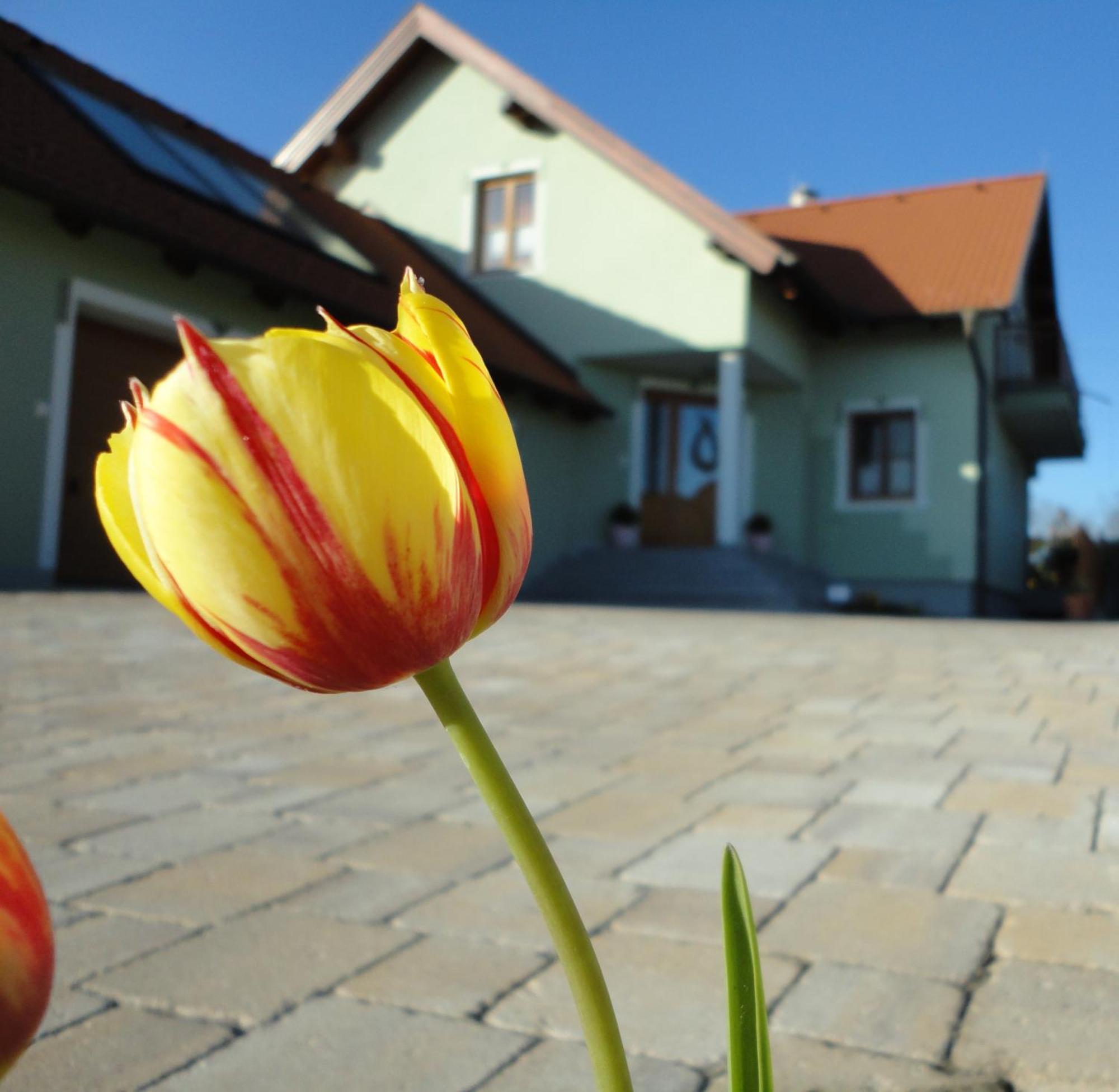 Gaestezimmer Rieder Hotel Staatz Eksteriør billede